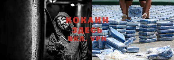 соль ск Осинники