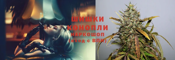 соль ск Осинники