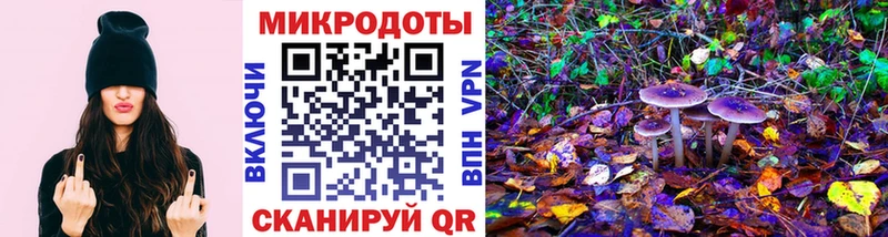 Галлюциногенные грибы Cubensis  Купить закладки  Нижний Новгород 